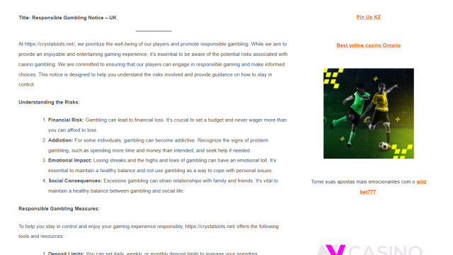 Снимок экрана 2025-10-31 131646